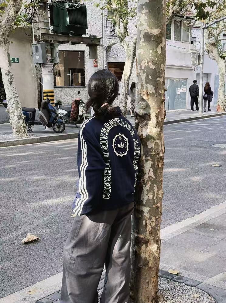 GG83-1  Adidas   hoodie gallery