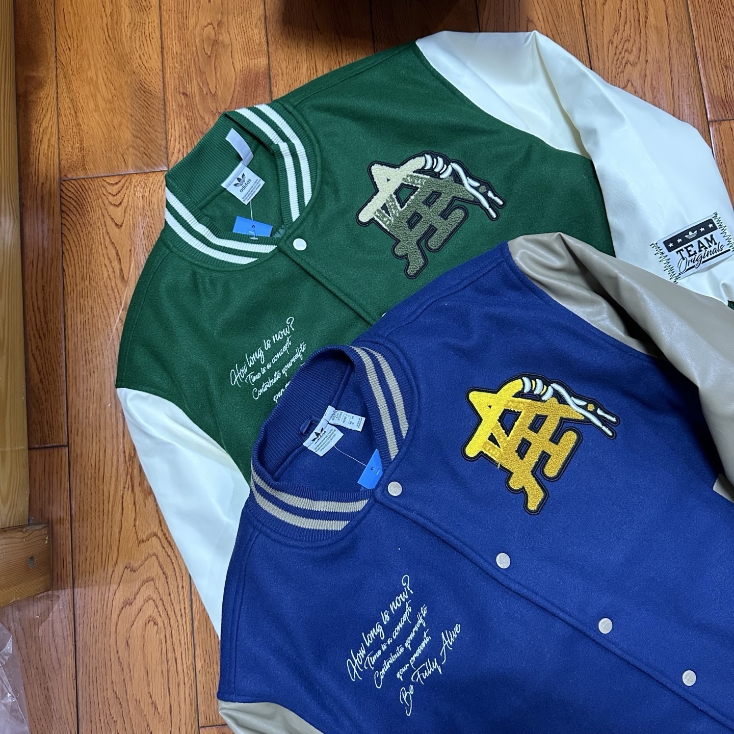 GG86-1-GG86-2  Adidas gallery