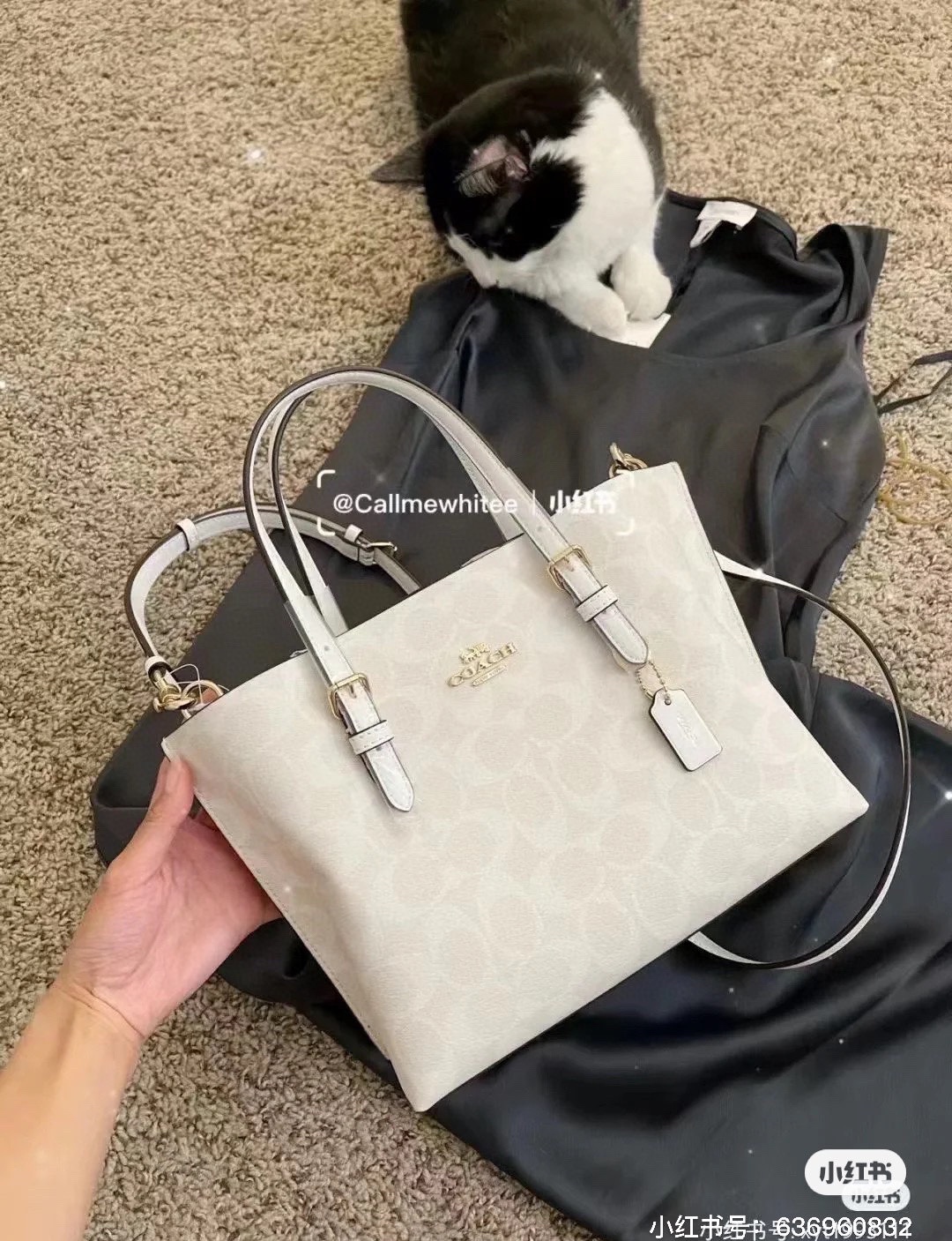 $28.99-Coach-X5513 gallery