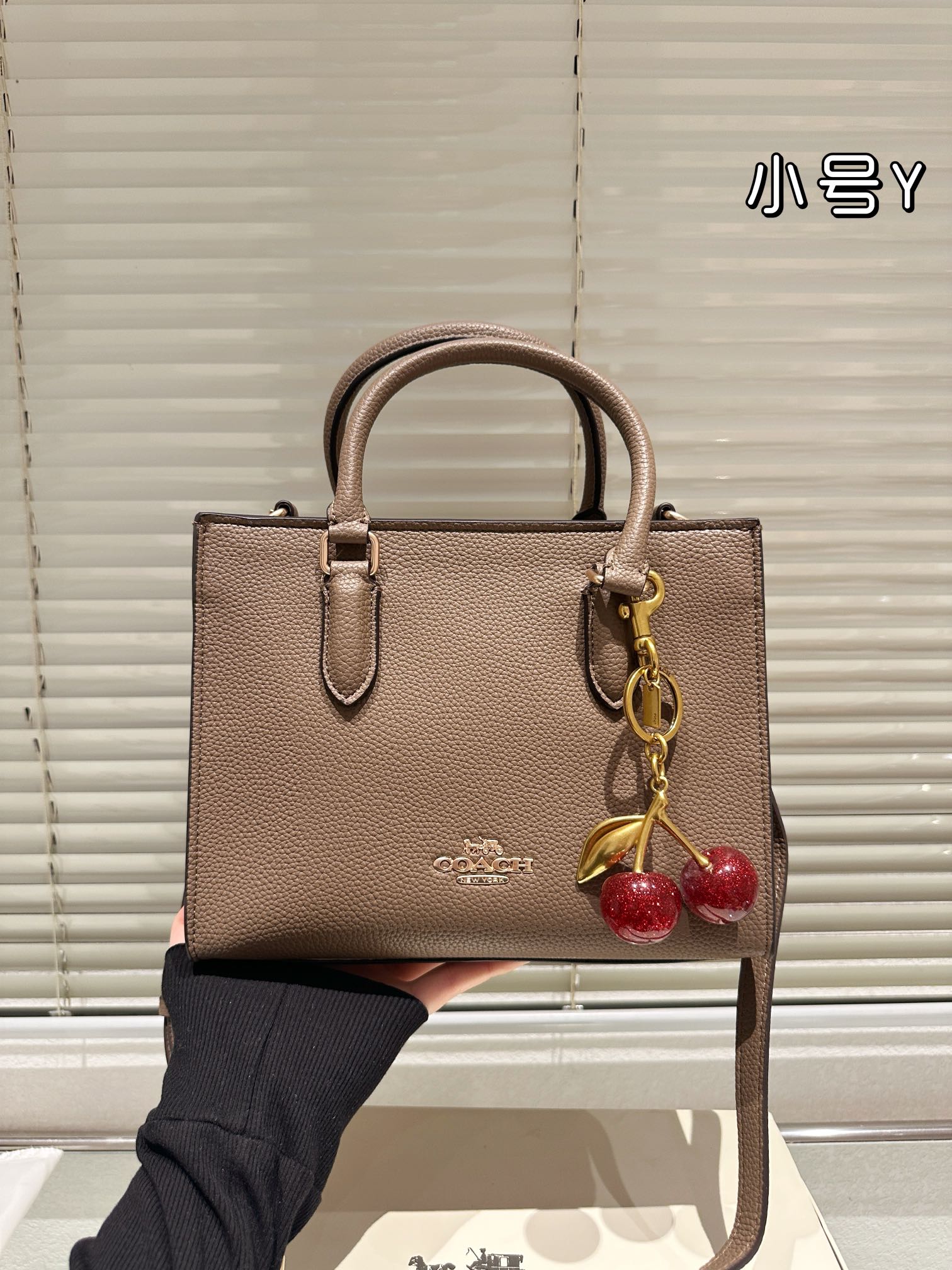 $35.99-COACH-X5774 gallery