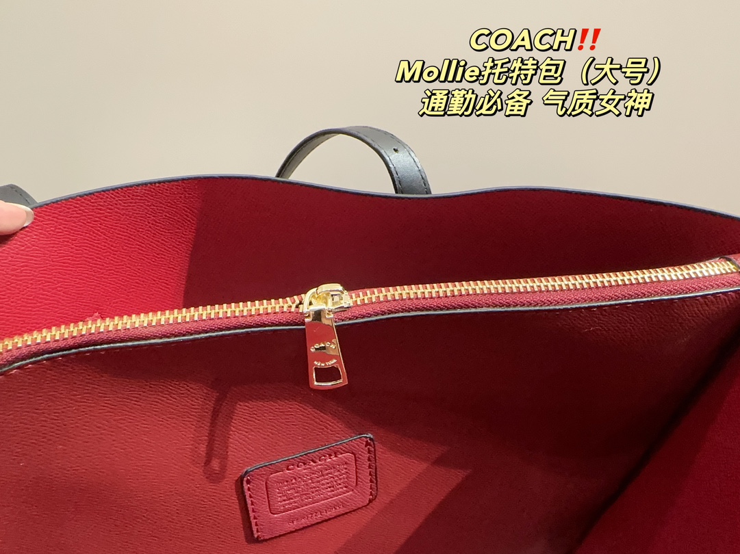 $35.99-Coach-X5746 gallery