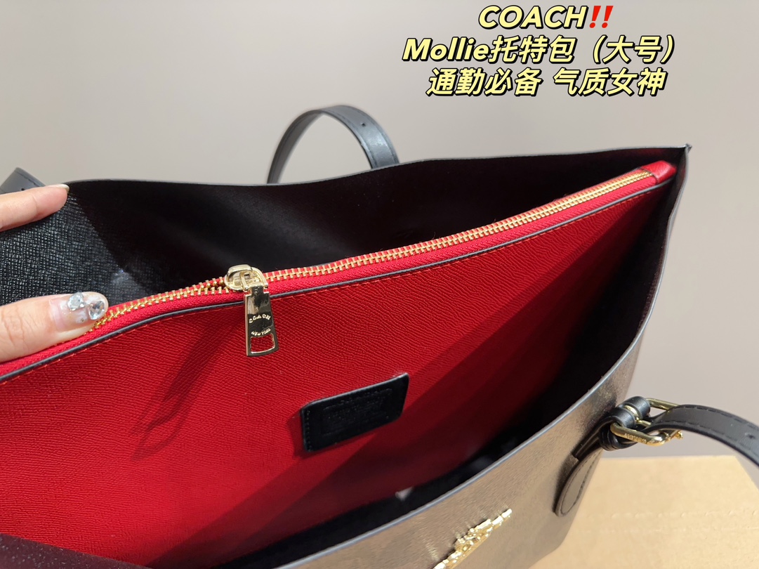 $35.99-Coach-X5746 gallery