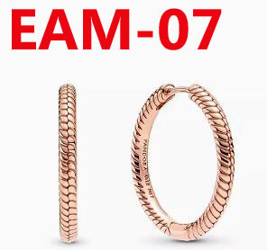 EAM  earrings 22.9usd gallery