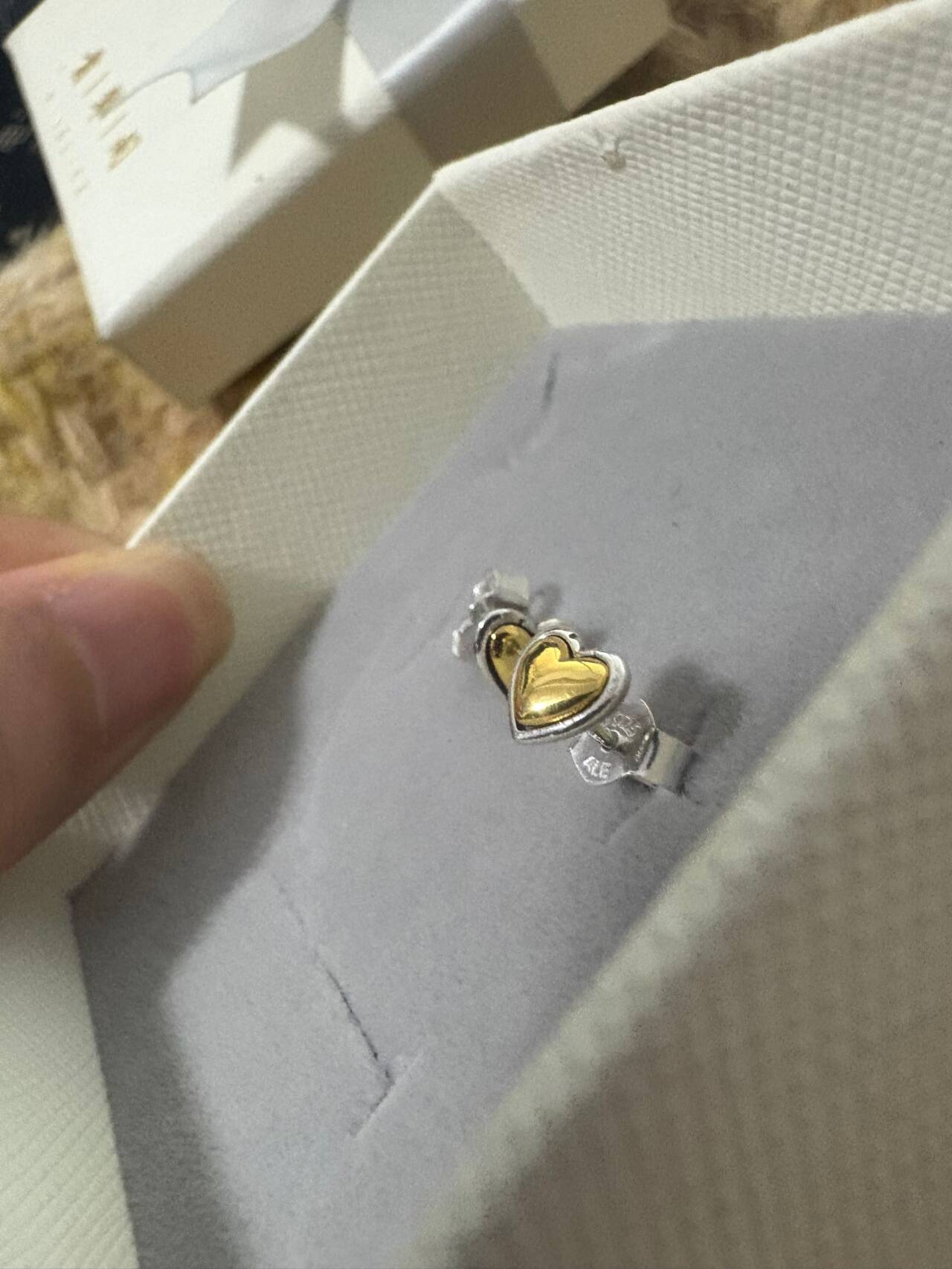 EAN earrings 19.99usd gallery