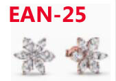 EAN earrings 19.99usd gallery