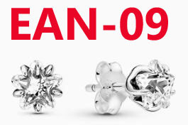 EAN earrings 19.99usd gallery