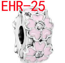 EHR  charms  15.9usd gallery