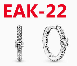 EAK  Pandora earrings 24.99usd gallery