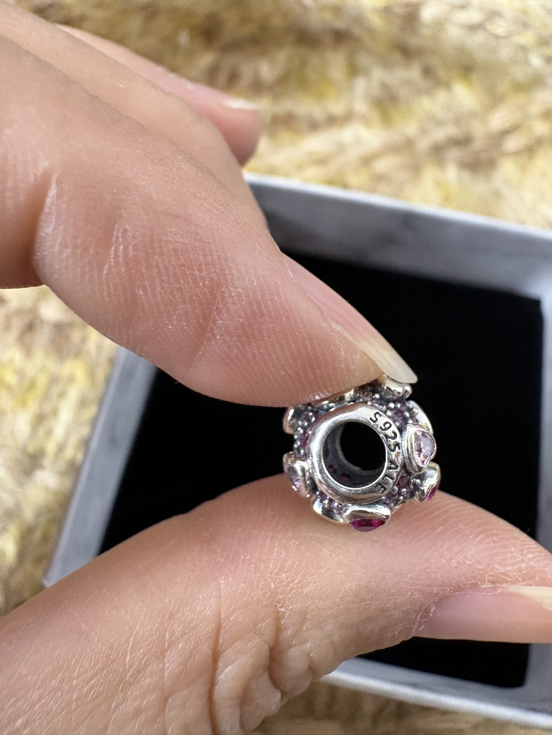 EHP Pandora charm  22.99usd gallery