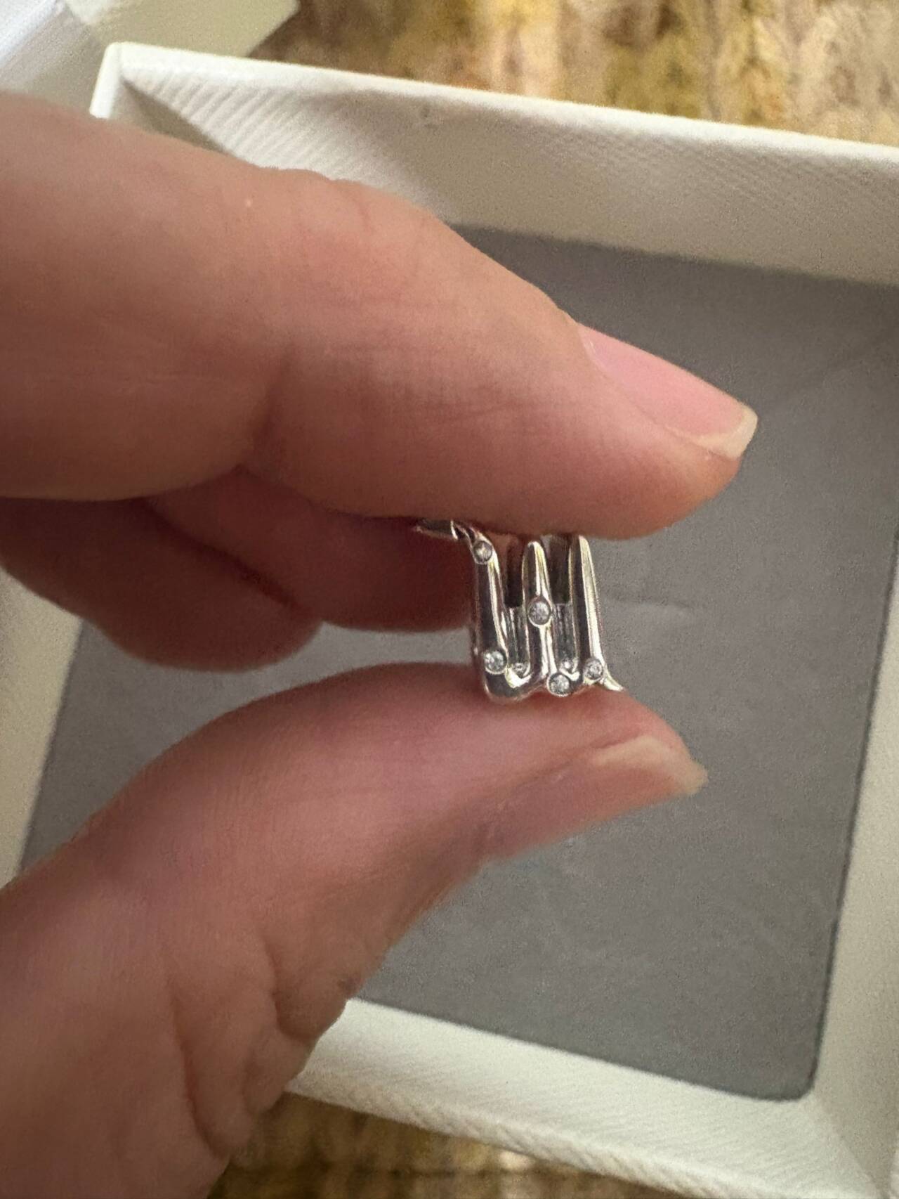 ELS Pandora charms 19.99usd gallery