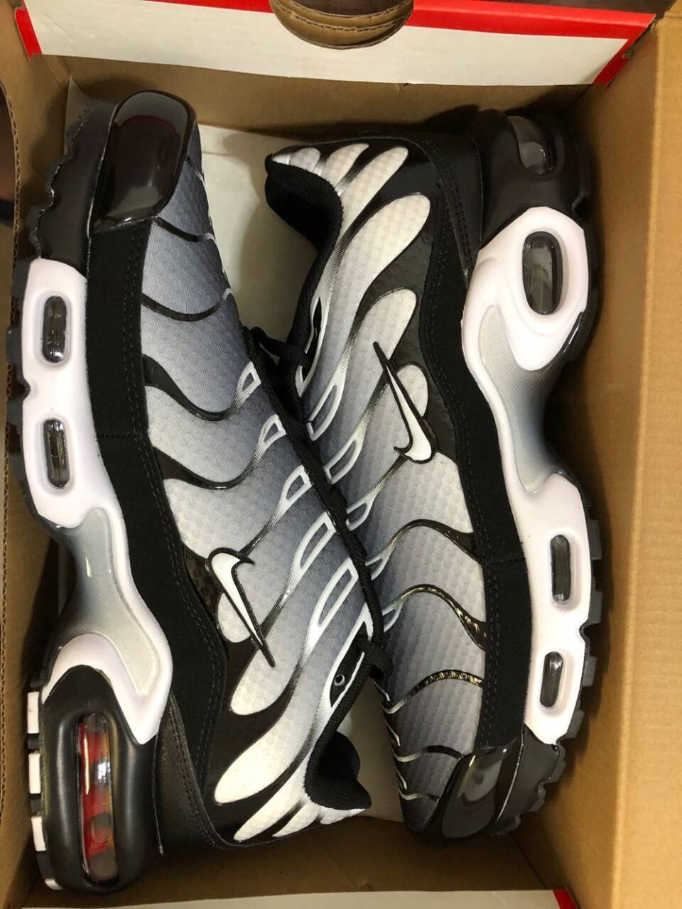 KZW Nike AIR MAX PLUS 59.99usd gallery