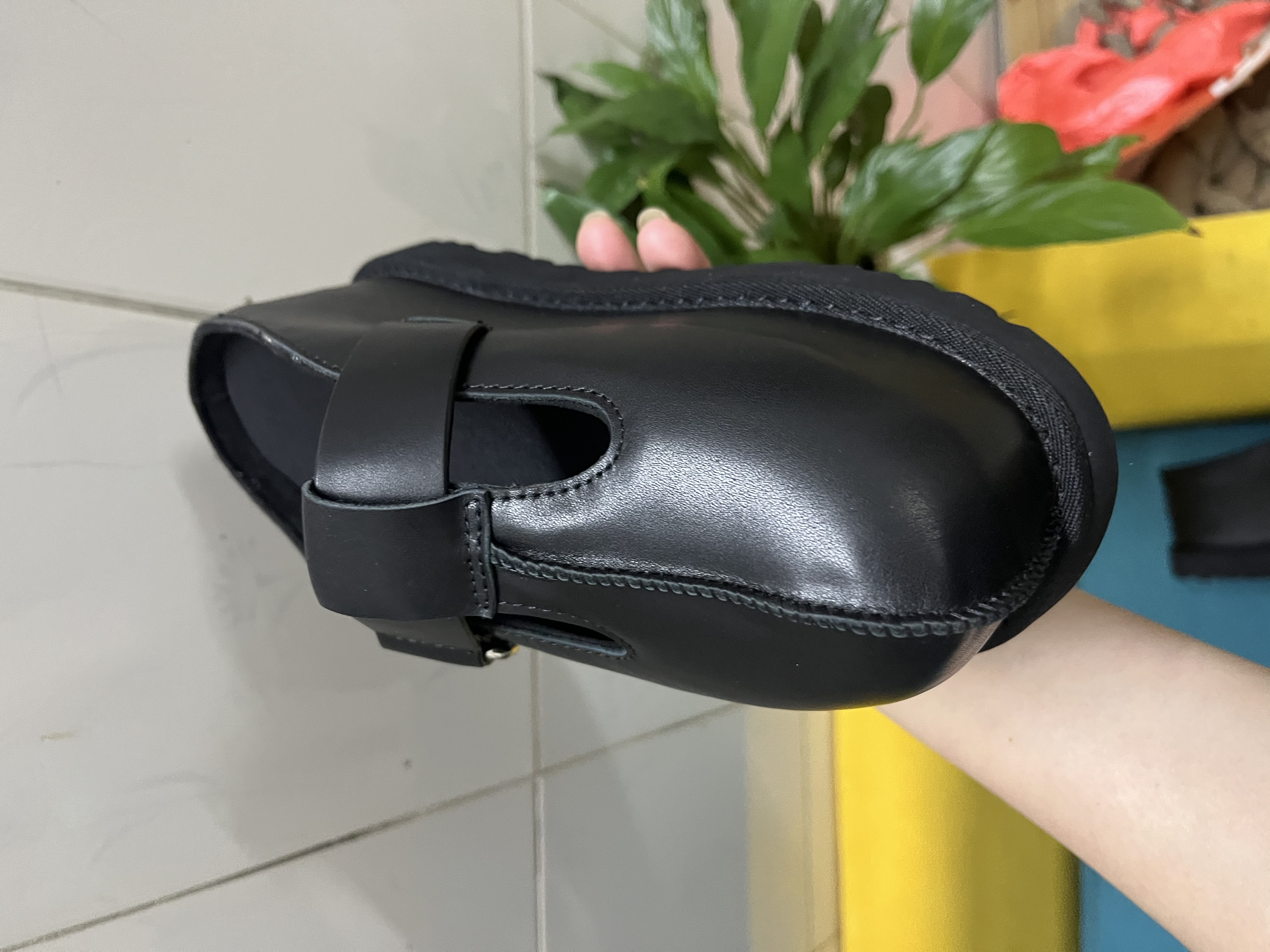 79.99$    code-525-7379-R gallery