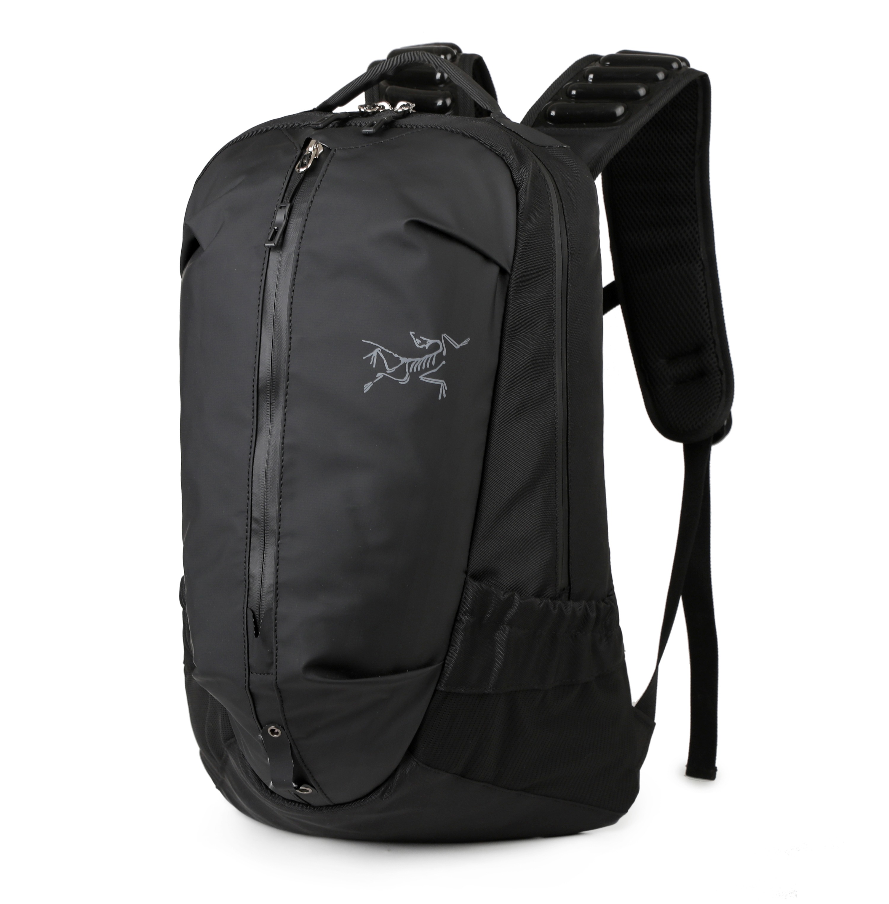 Archaeopteryx  29.66$  code 237-7541-R gallery