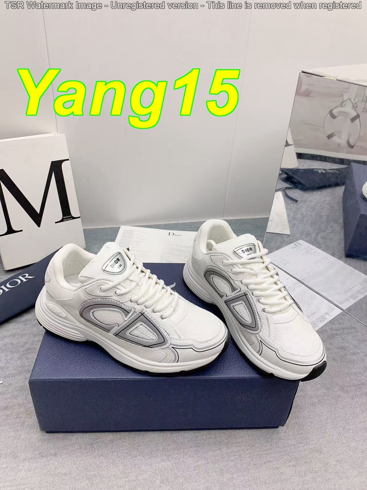 Yar3984 DIOR B30 59$ with box gallery