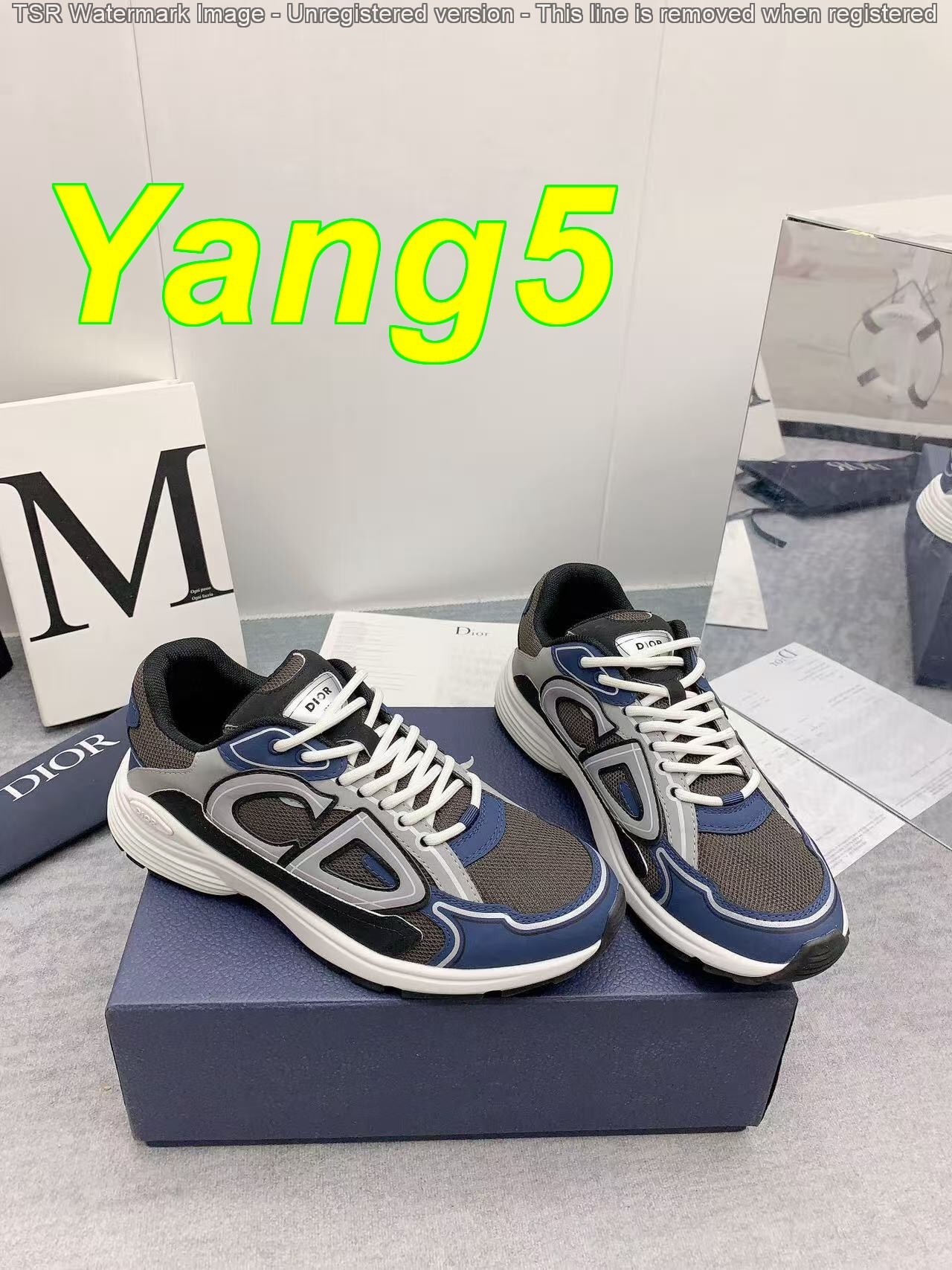 Yar3984 DIOR B30 59$ with box gallery