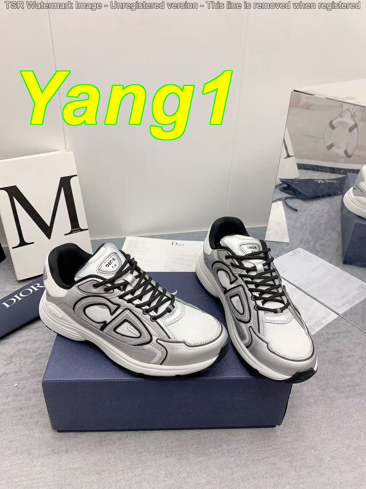 Yar3984 DIOR B30 59$ with box gallery