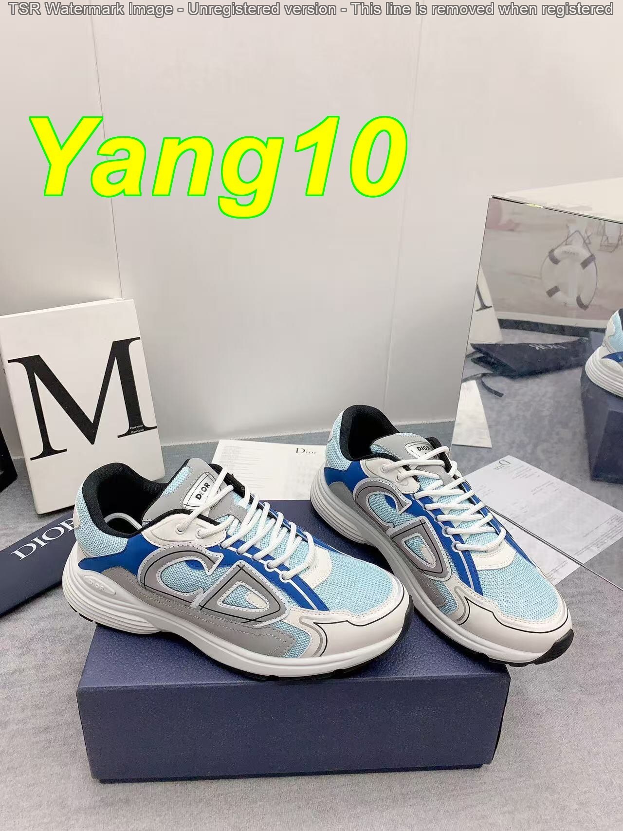 Yar3984 DIOR B30 59$ with box gallery