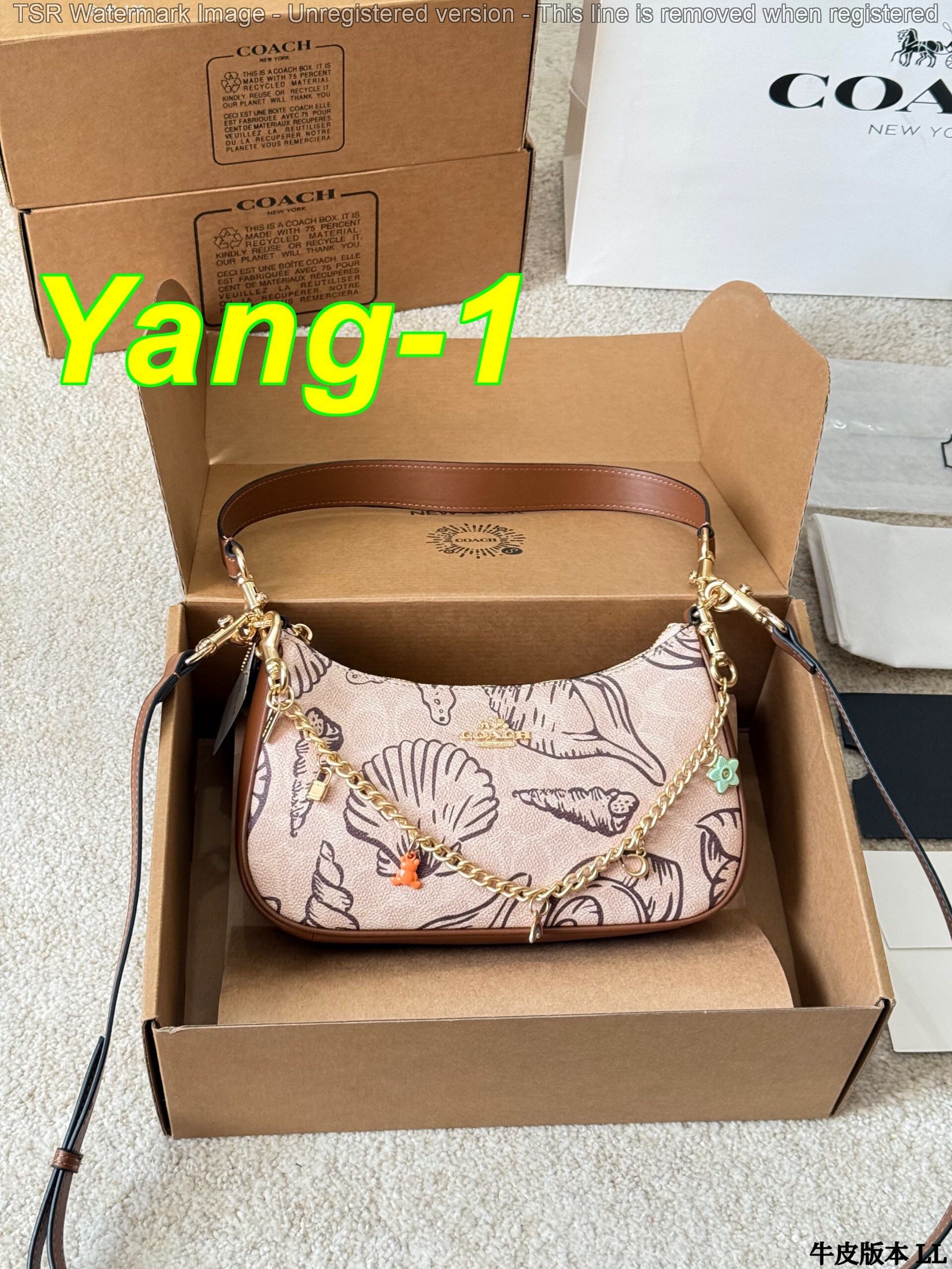 Yar4036 Coach 52$ gallery