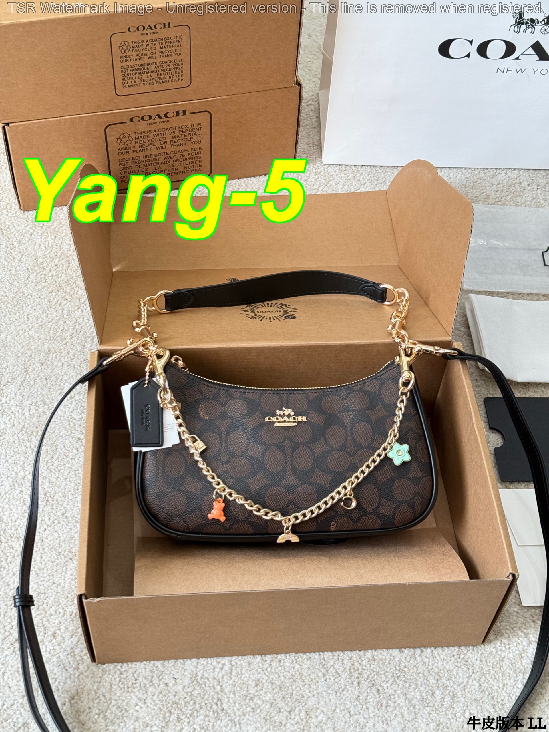 Yar4036 Coach 52$ gallery