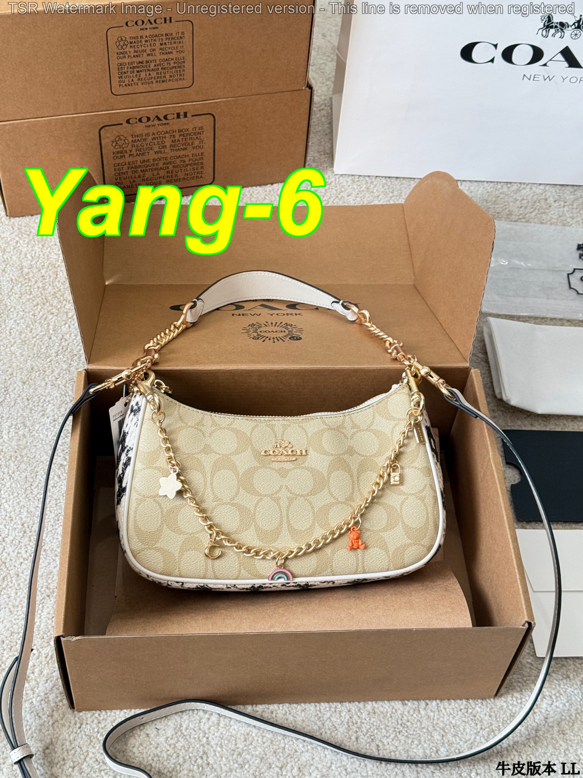 Yar4036 Coach 52$ gallery
