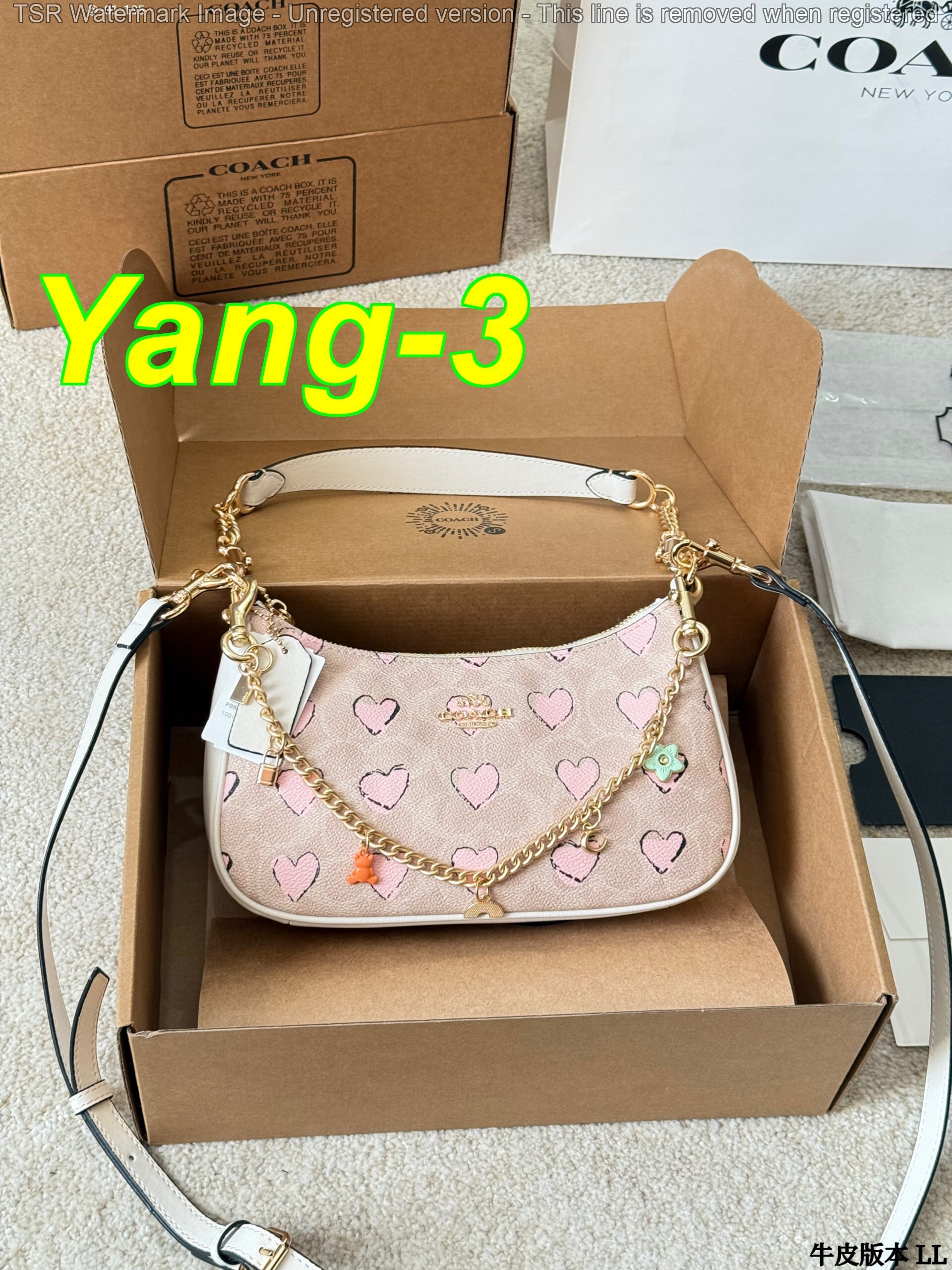 Yar4036 Coach 52$ gallery