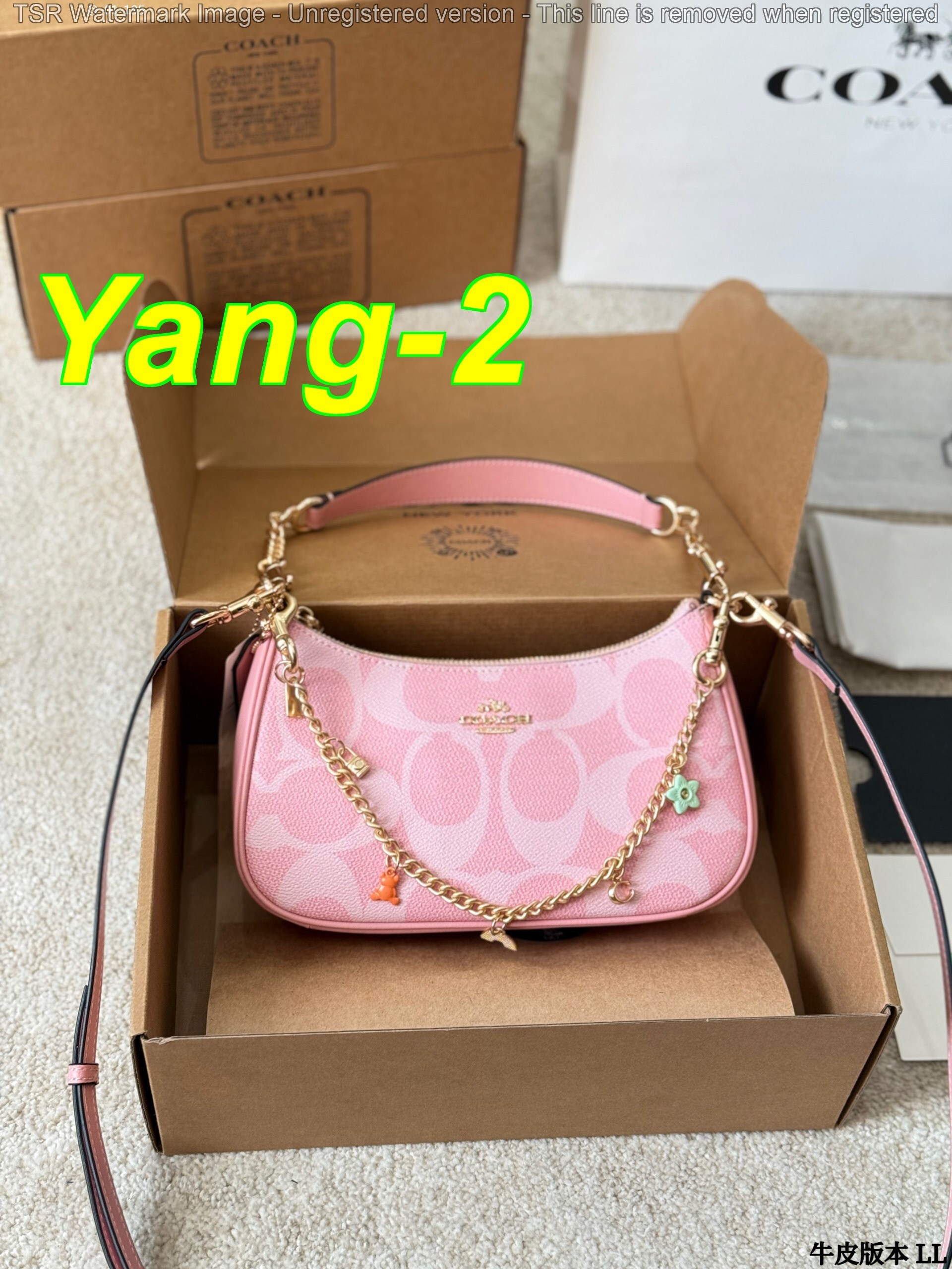 Yar4036 Coach 52$ gallery