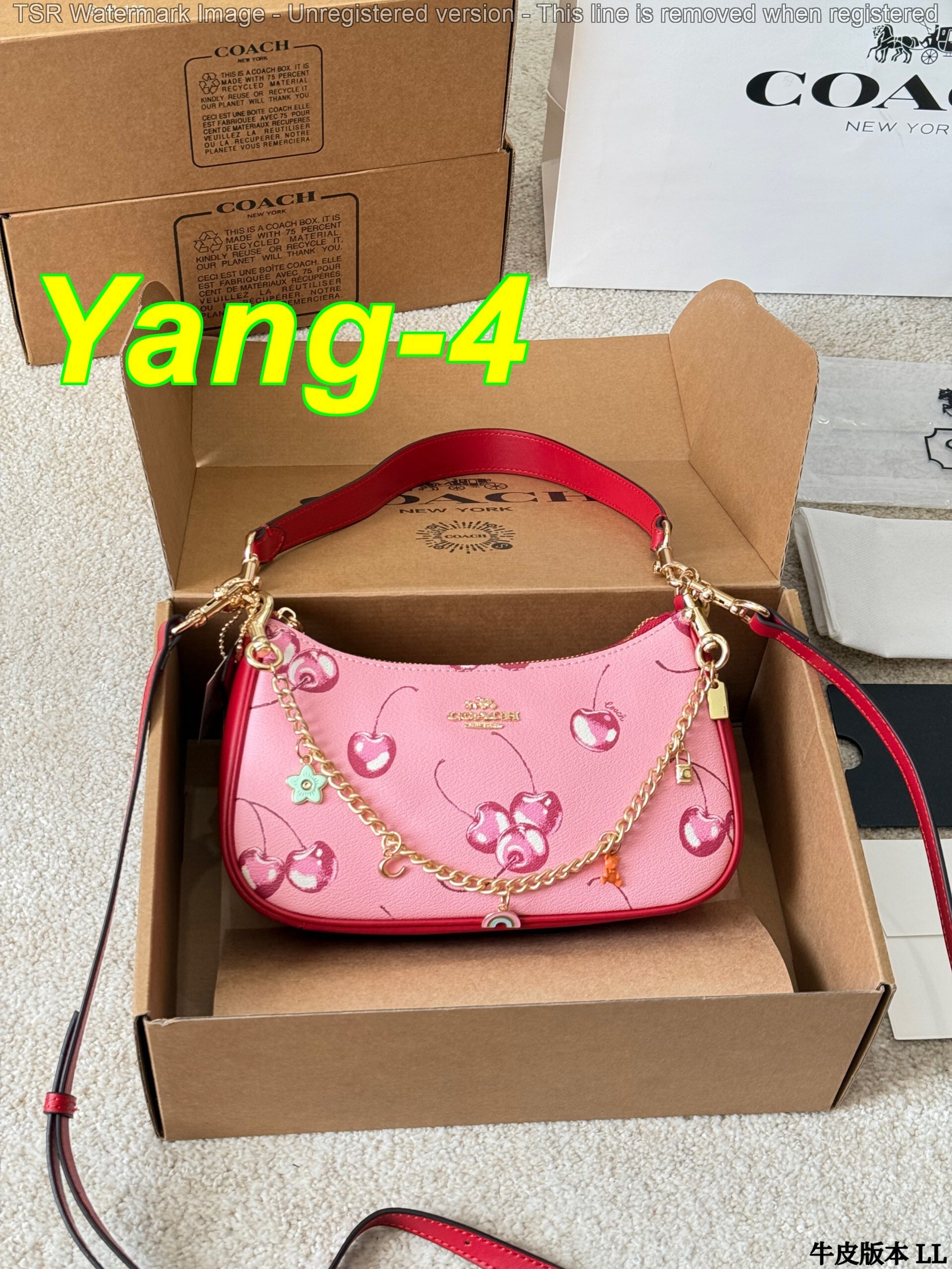 Yar4036 Coach 52$ gallery