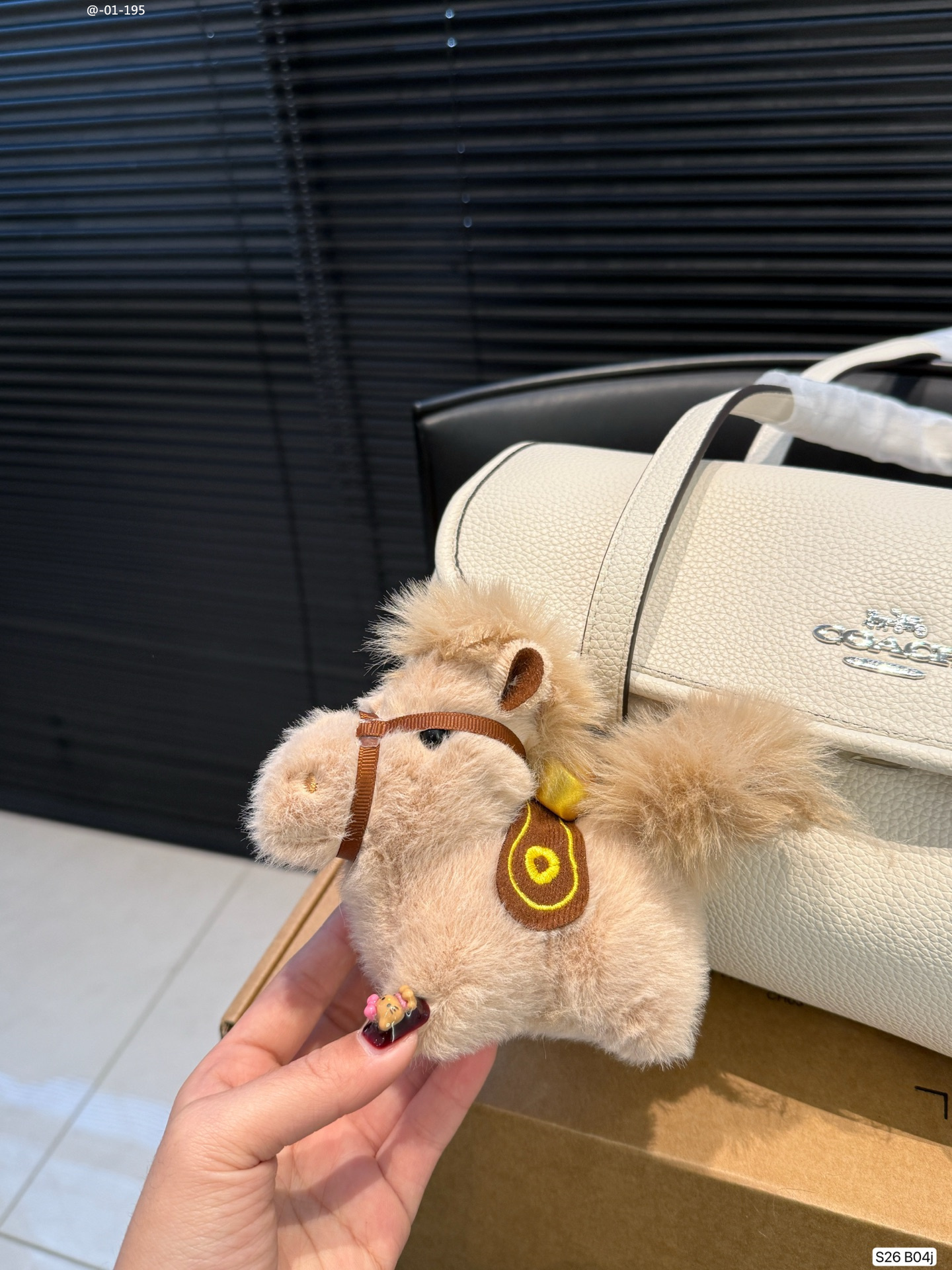 Yar4045 Coach 62$ gallery