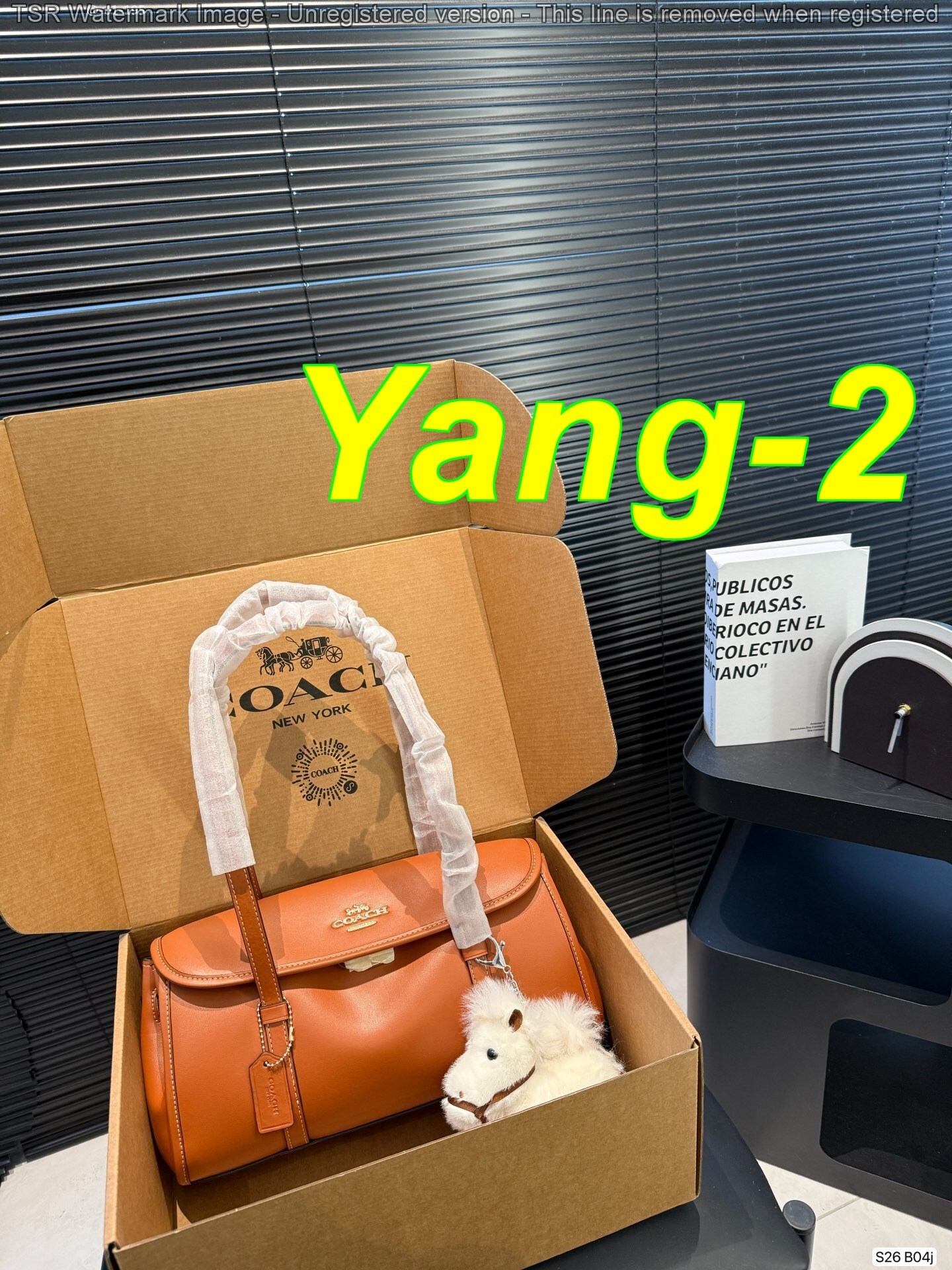 Yar4045 Coach 62$ gallery