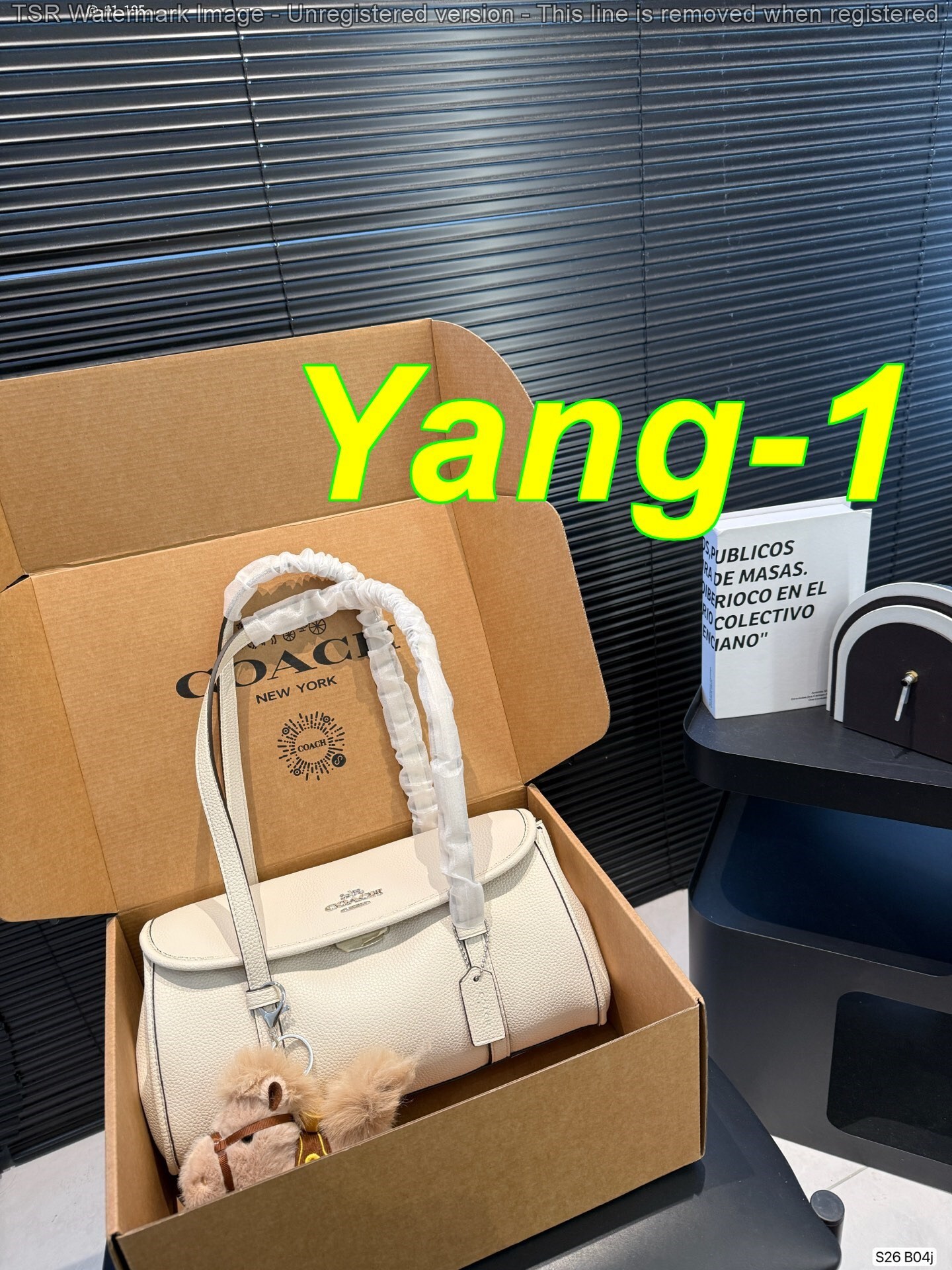 Yar4045 Coach 62$ gallery