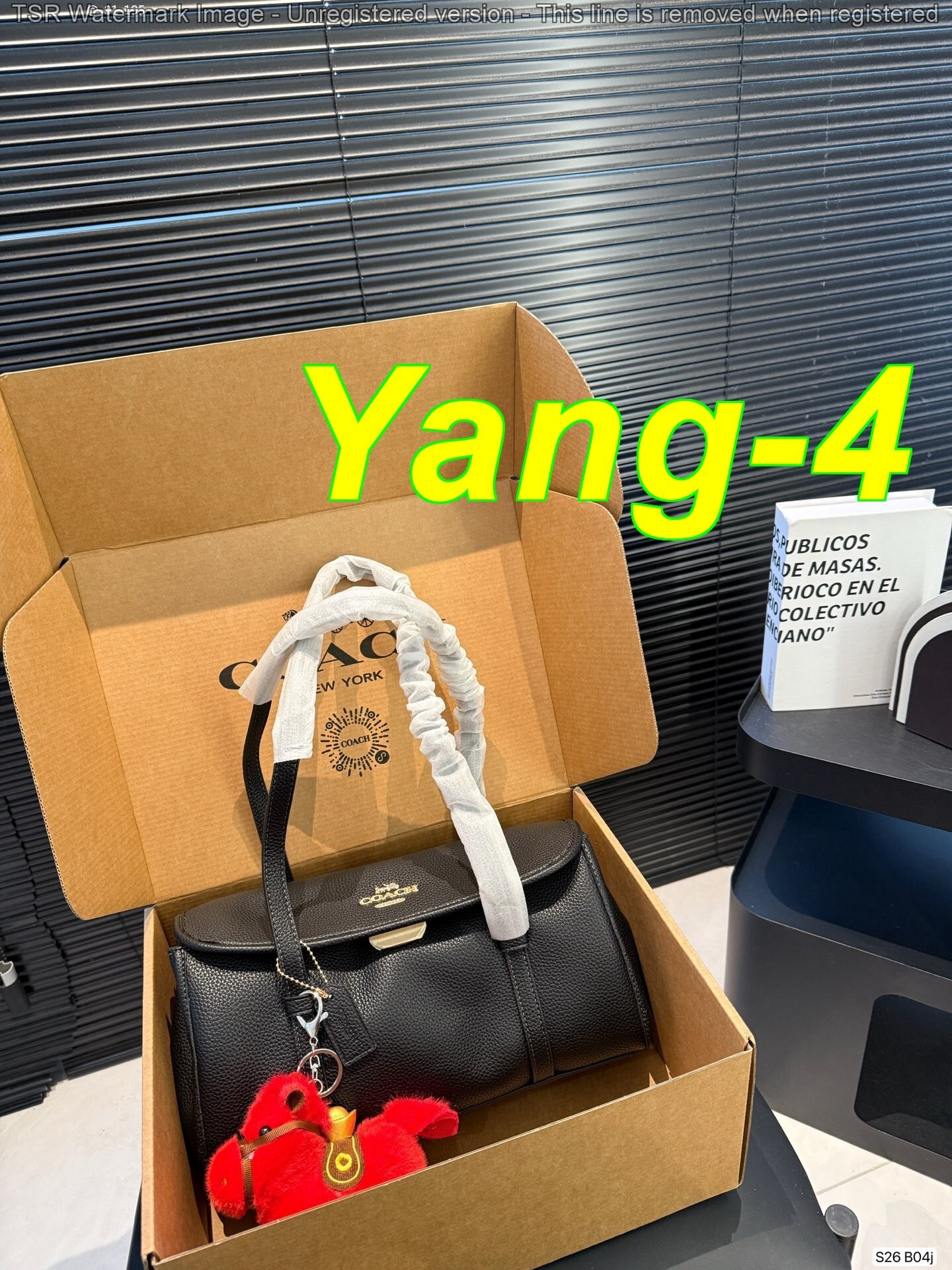 Yar4045 Coach 62$ gallery