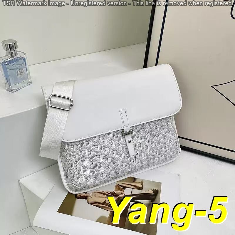 Yar4052 GOYARD 52$ gallery