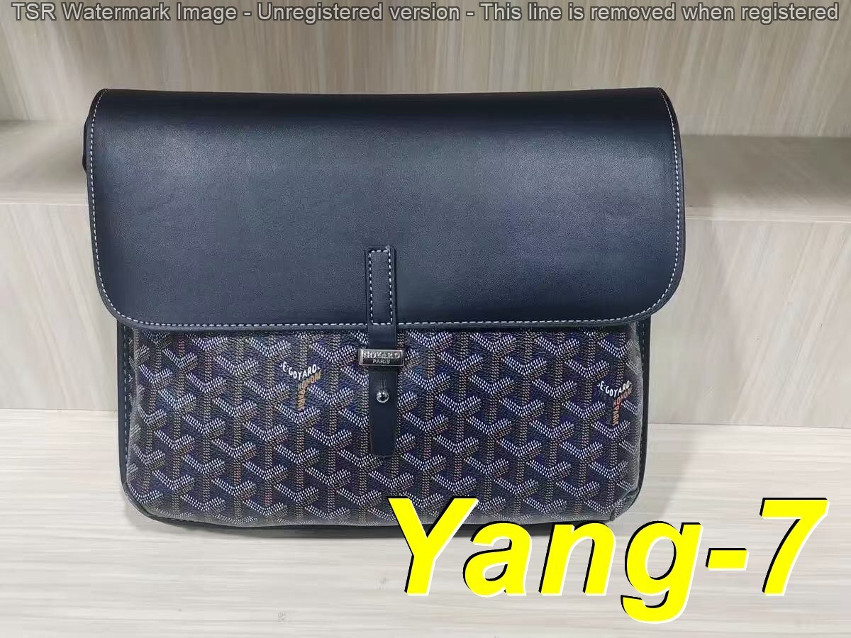 Yar4052 GOYARD 52$ gallery