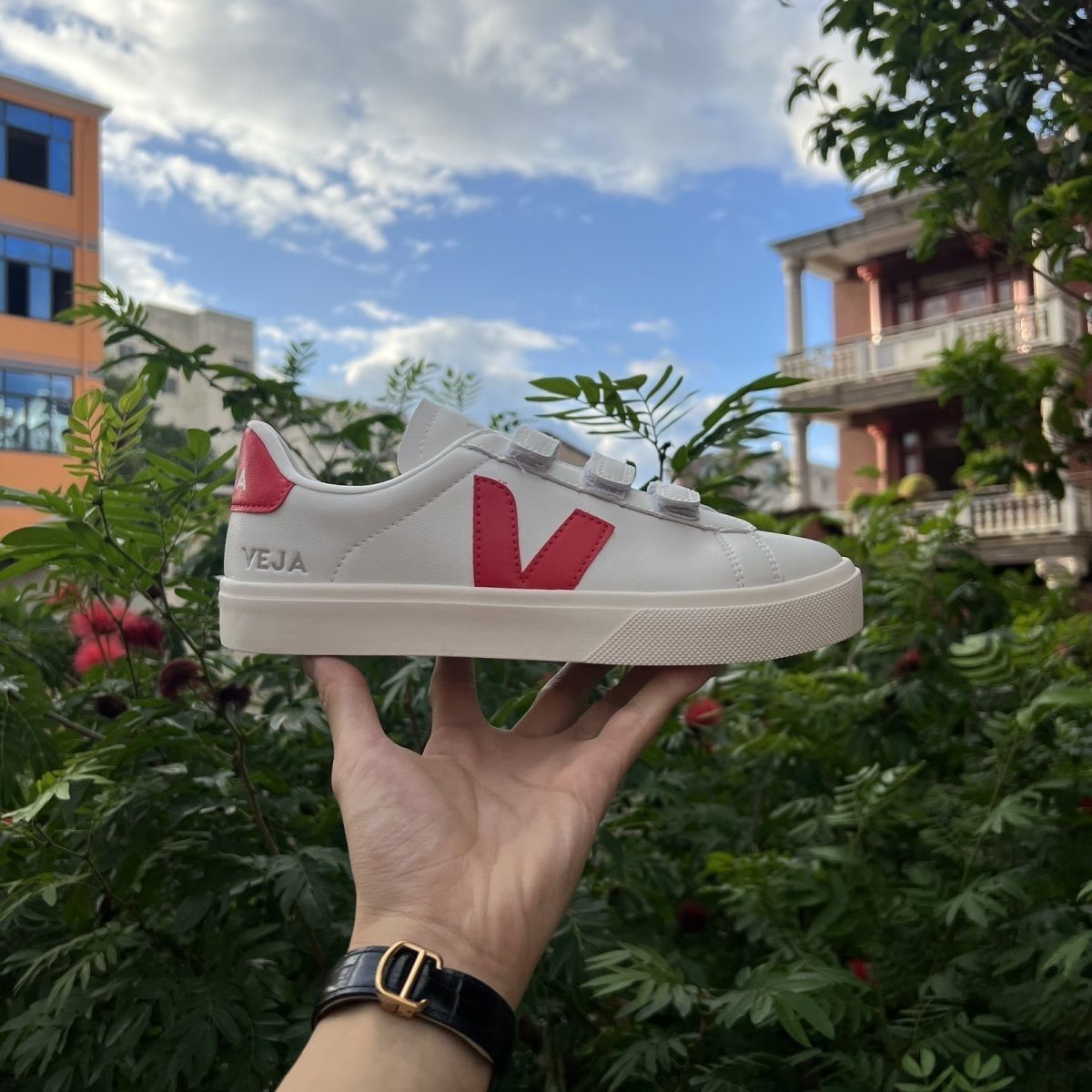 VEJA     $62     ID:8700 gallery