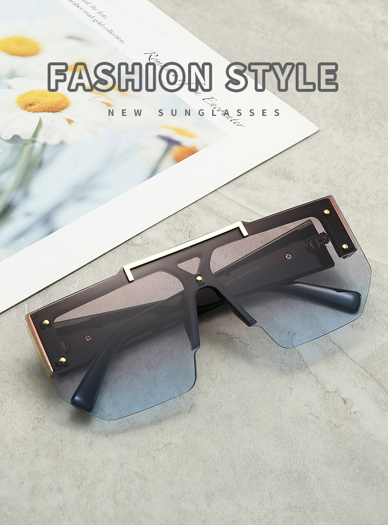 133 $25 Versace/Non polarized gallery