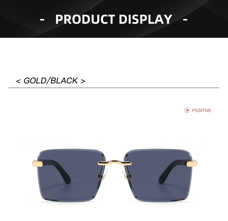2922 $28 Versace/Non polarized gallery