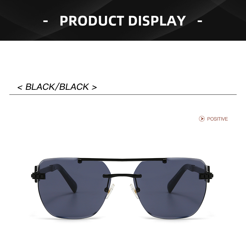 2923 $25 Versace/Non polarized gallery