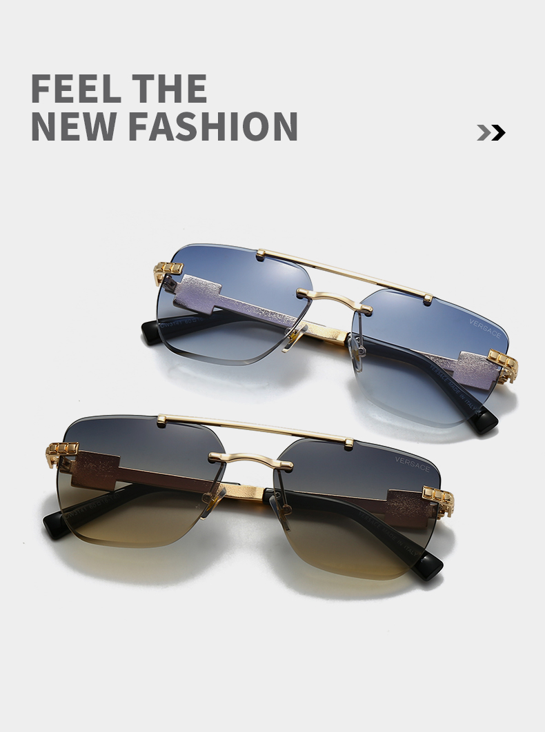 2923 $25 Versace/Non polarized gallery