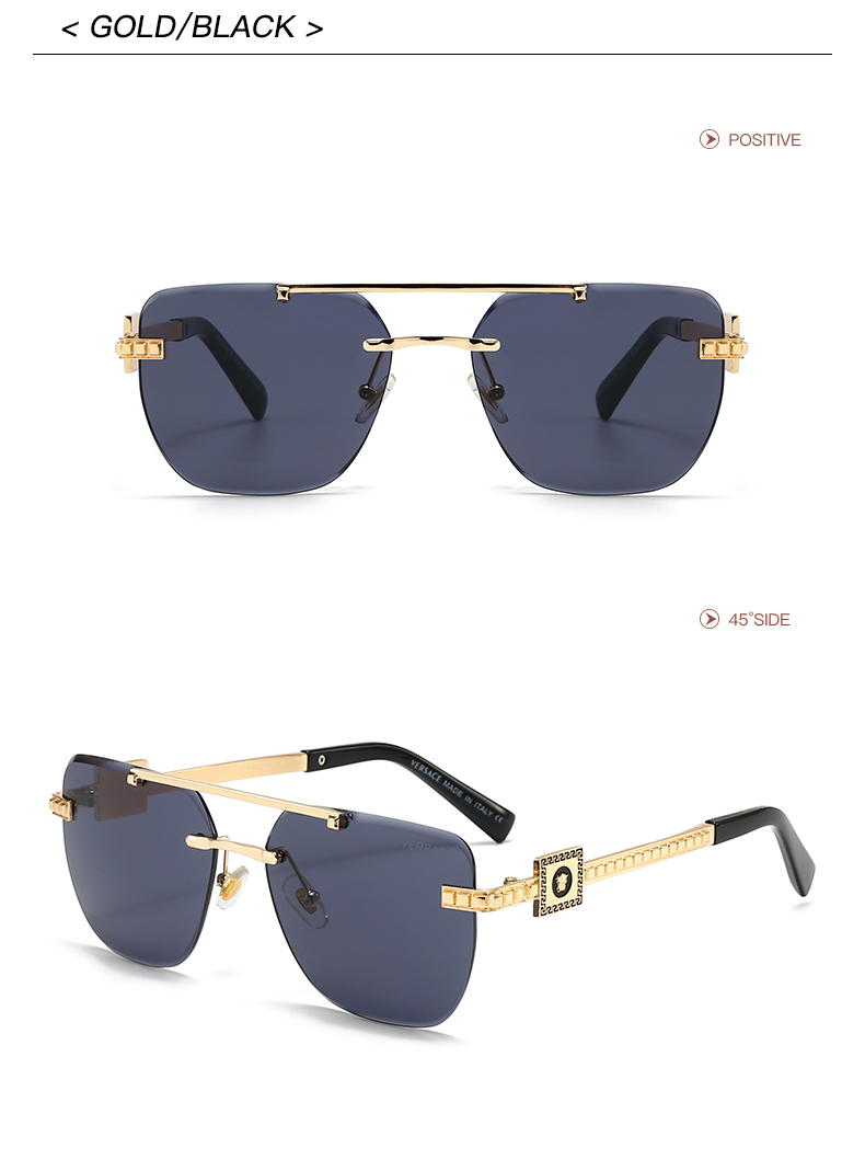 2923 $25 Versace/Non polarized gallery