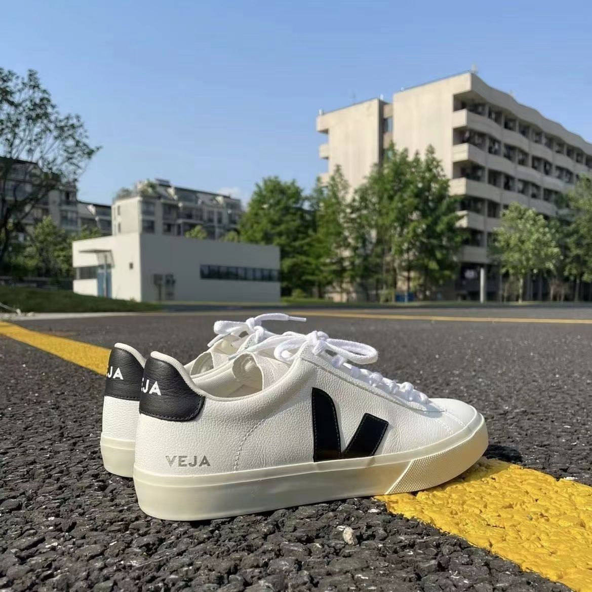 3810 Veja$60 gallery