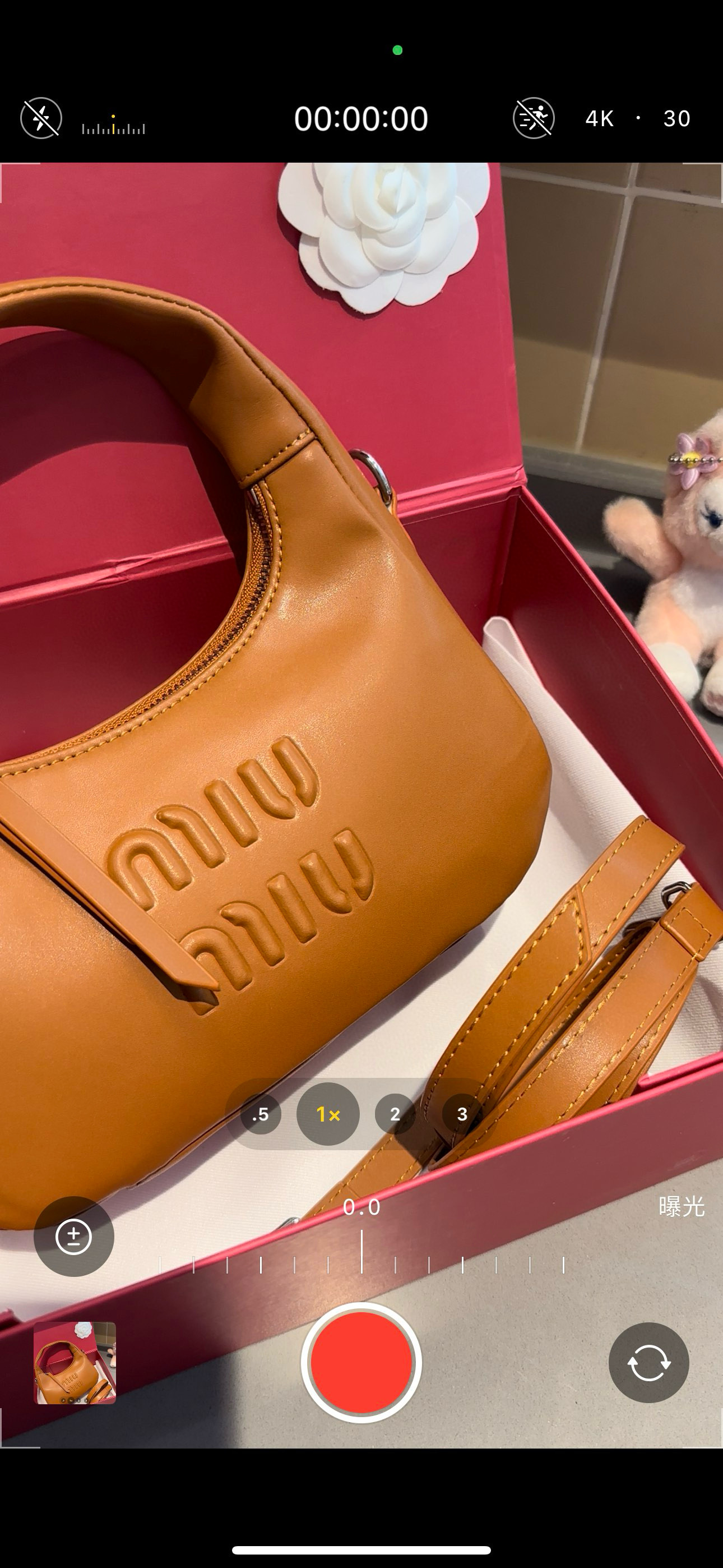 503 MiuMiu $68 gallery