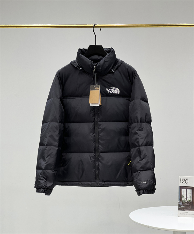 51536 $88 gallery
