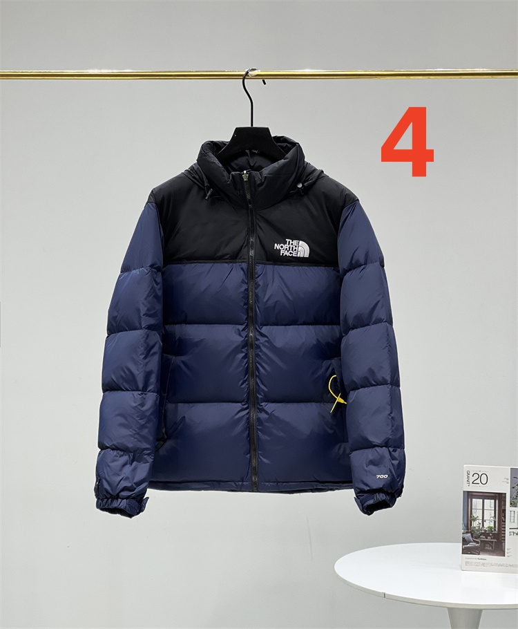 51536 $88 gallery