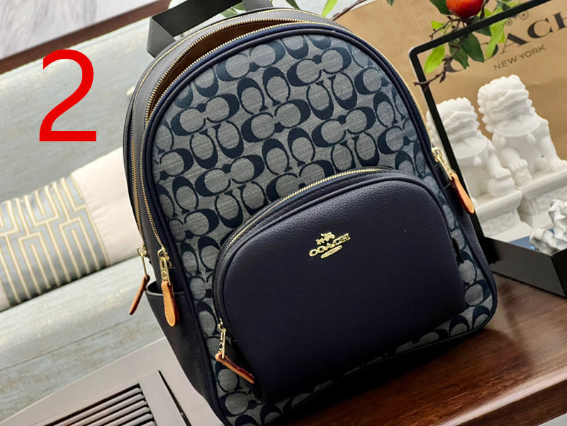 COACH $80 COD：13175 gallery