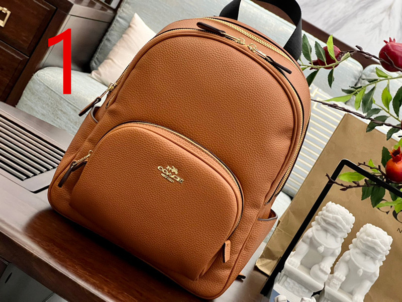COACH $80 COD：13175 gallery