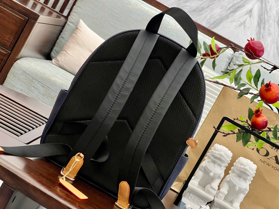 COACH $80 COD：13175 gallery