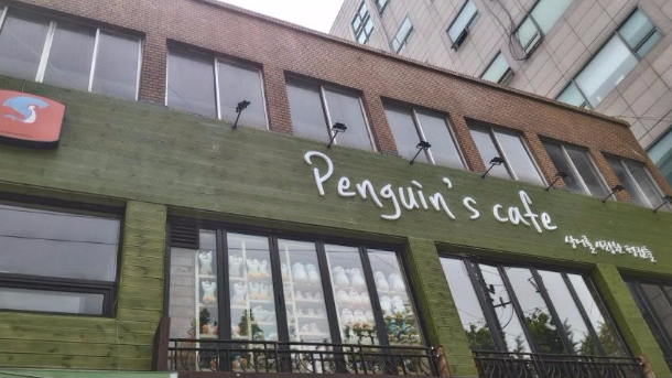 Kim-Sohye-Penguin-Cafe3