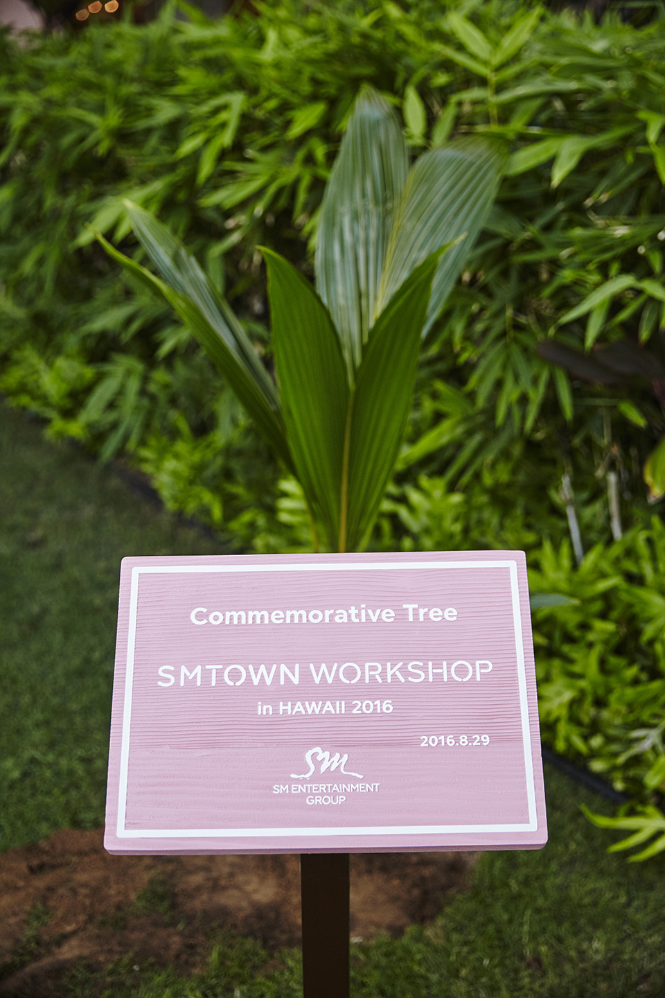 SMTOWN-Workshop-Commemorative-Tree
