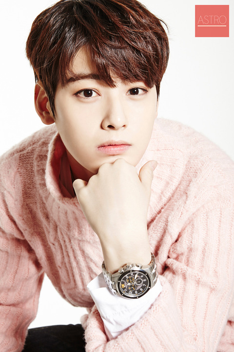 cha-eun-woo