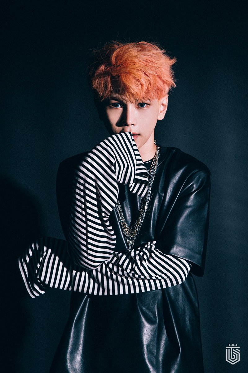 ToppDogg-HANSOL